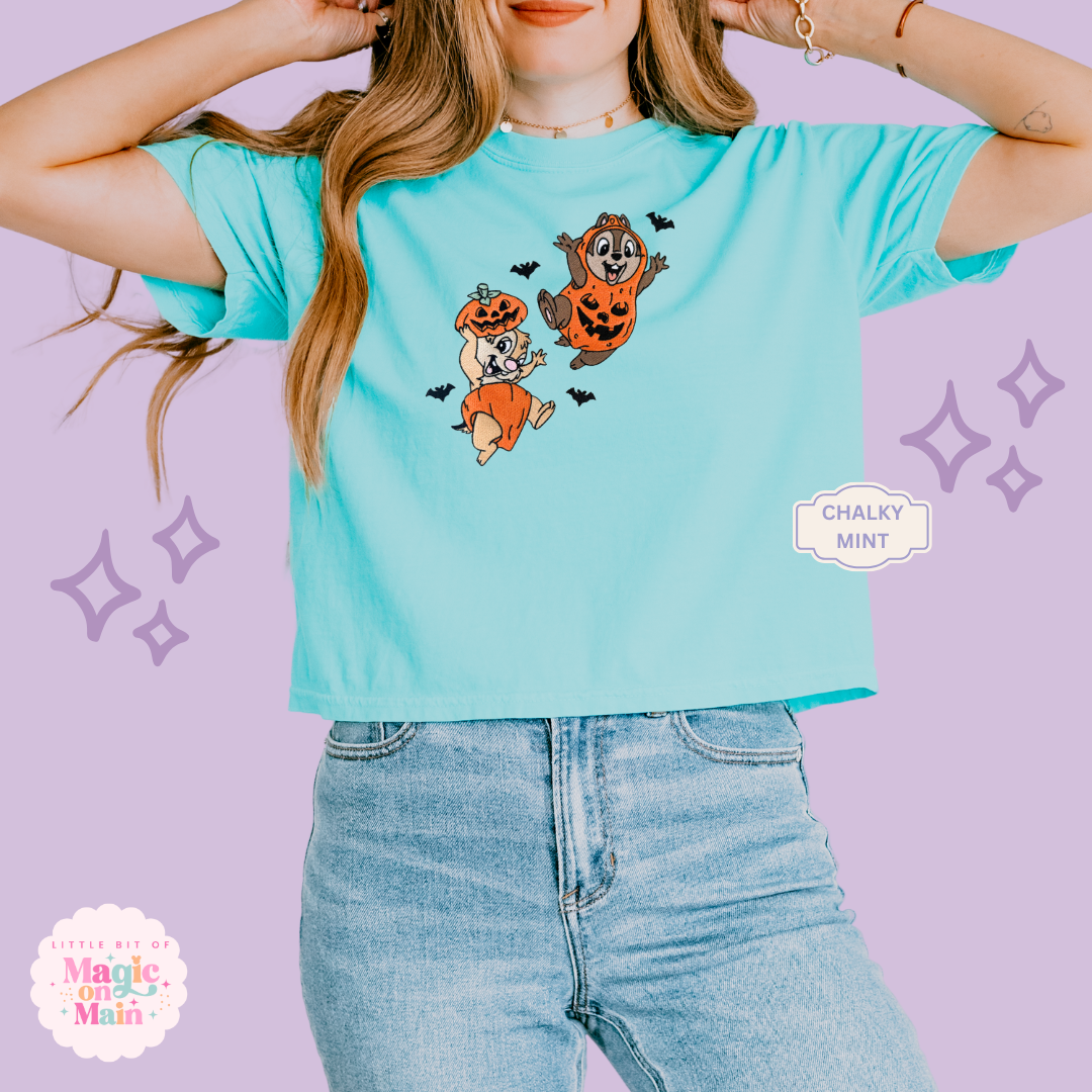 EMBROIDERED CHIPMUNKS - WOMENS BOXY T-SHIRT
