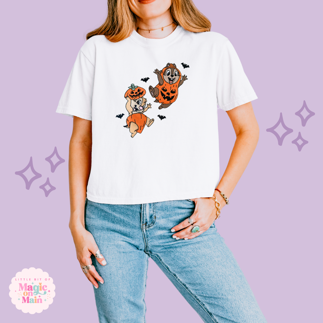 EMBROIDERED CHIPMUNKS - WOMENS BOXY T-SHIRT