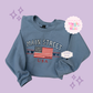 EMBROIDERED MAIN STREET USA - EXCLUSIVE TO MoM - ADULT SWEATSHIRT 10063